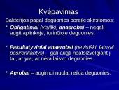 Bakterijų klasifikacija, dauginimasis, reikšmė bei sandara 10 puslapis