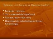 Viskas apie bakterijas 2 puslapis