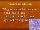 Viskas apie bakterijas 12 puslapis