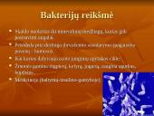 Viskas apie bakterijas 15 puslapis