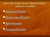 Viskas apie bakterijas 8 puslapis