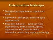 Viskas apie bakterijas 10 puslapis