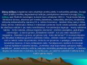 Balys Sruoga 9 puslapis