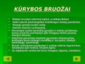 Balio Sruogos biografija 7 puslapis