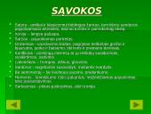 Balio Sruogos biografija 10 puslapis