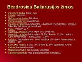 Baltarusijos Respublika 3 puslapis