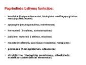 Baltymai ir viskas apie juos 2 puslapis