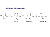 Baltymai ir viskas apie juos 11 puslapis