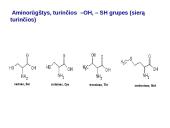 Baltymai ir viskas apie juos 13 puslapis