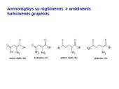 Baltymai ir viskas apie juos 14 puslapis