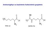 Baltymai ir viskas apie juos 15 puslapis