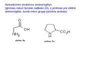 Baltymai ir viskas apie juos 16 puslapis
