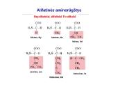 Baltymai ir viskas apie juos 18 puslapis