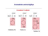 Baltymai ir viskas apie juos 19 puslapis