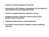 Baltymai ir viskas apie juos 3 puslapis