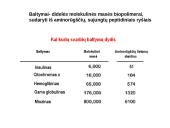 Baltymai ir viskas apie juos 4 puslapis