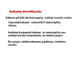 Baltymai ir viskas apie juos 5 puslapis