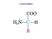 Baltymai ir viskas apie juos 7 puslapis