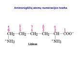Baltymai ir viskas apie juos 9 puslapis
