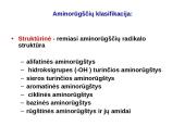 Baltymai ir viskas apie juos 10 puslapis