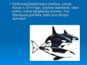 Banginiai 15 puslapis