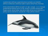 Banginiai 18 puslapis