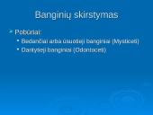 Banginiai 3 puslapis