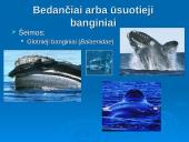 Banginiai 4 puslapis