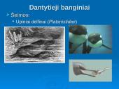 Banginiai 8 puslapis