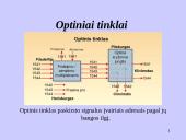 Bangos ilgių sutankinimas 6 puslapis