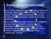 Bankai Europos Sąjungoje 11 puslapis