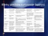Bankai Europos Sąjungoje 12 puslapis