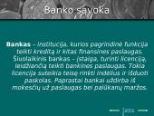 Bankai ir jų veikla 3 puslapis