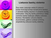 Bankų istorija ir jų veikla 20 puslapis
