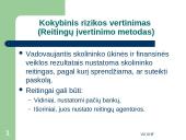 Bankų rizikos valdymo modeliai: privalumai ir trūkumai 11 puslapis