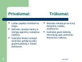 Bankų rizikos valdymo modeliai: privalumai ir trūkumai 12 puslapis