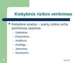 Bankų rizikos valdymo modeliai: privalumai ir trūkumai 13 puslapis