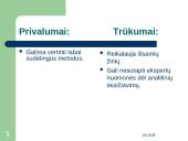 Bankų rizikos valdymo modeliai: privalumai ir trūkumai 17 puslapis