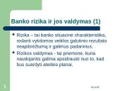 Bankų rizikos valdymo modeliai: privalumai ir trūkumai 3 puslapis