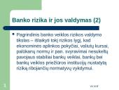 Bankų rizikos valdymo modeliai: privalumai ir trūkumai 4 puslapis