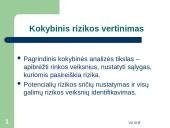 Bankų rizikos valdymo modeliai: privalumai ir trūkumai 7 puslapis