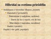 Barbarizmai kalboje 17 puslapis