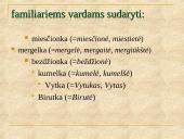 Barbarizmai kalboje 20 puslapis