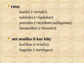 Barbarizmai kalboje 5 puslapis