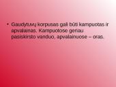 Barbotavimo ir putų aparatai. Venturio skruberiai 4 puslapis