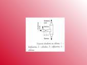 Barbotavimo ir putų aparatai. Venturio skruberiai 9 puslapis