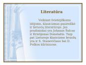 Barokas ir klasicizmas Lietuvoje 17 puslapis