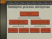 Beanketiniai metodai. Stebėjimas 4 puslapis