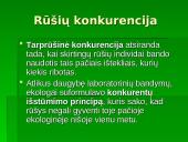 Bendrijos. Bendrijų organizuotumas 6 puslapis