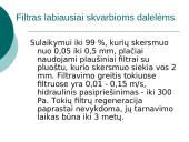 Biologinio oro valymo ypatumai 13 puslapis